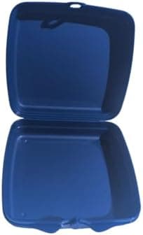 Tupperware Quadratische Sandwich-Box Aufbewahrungsbox Brotdose mit Scharnier und Verriegelung (türkis Koala Bär)