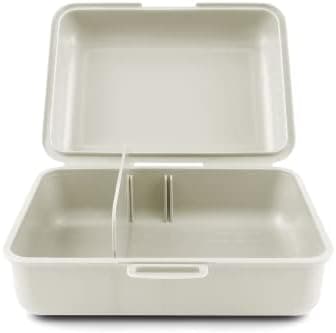 ### Baagl Brotdose Kinder für Schule – Lunchbox für Mädchen & Jungen – Jausenbox, Brotzeitbox, Brotbox, Snackbox (Delphi
