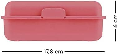 ### Baagl Brotdose Kinder für Schule – Lunchbox für Mädchen & Jungen – Jausenbox, Brotzeitbox, Brotbox, Snackbox (Delphi