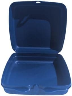 Tupperware Quadratische Sandwich-Box Aufbewahrungsbox Brotdose mit Scharnier und Verriegelung (türkis Koala Bär)