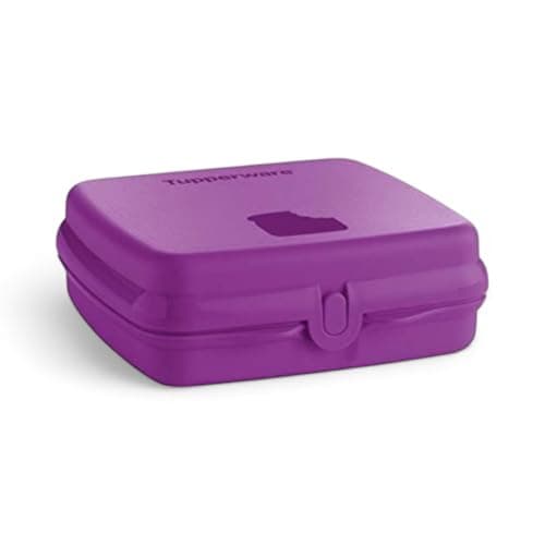Tupperware Quadratische Sandwich-Box Aufbewahrungsbox Brotdose mit Scharnier und Verriegelung (türkis Koala Bär)