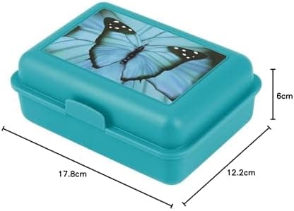 ### Baagl Brotdose Kinder für Schule – Lunchbox für Mädchen & Jungen – Jausenbox, Brotzeitbox, Brotbox, Snackbox (Delphi