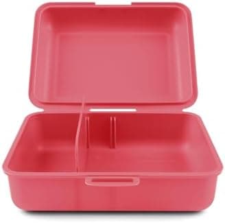 ### Baagl Brotdose Kinder für Schule – Lunchbox für Mädchen & Jungen – Jausenbox, Brotzeitbox, Brotbox, Snackbox (Delphi