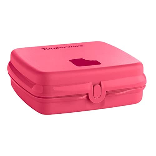 Tupperware Quadratische Sandwich-Box Aufbewahrungsbox Brotdose mit Scharnier und Verriegelung (türkis Koala Bär)