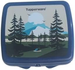 Tupperware Quadratische Sandwich-Box Aufbewahrungsbox Brotdose mit Scharnier und Verriegelung (türkis Koala Bär)