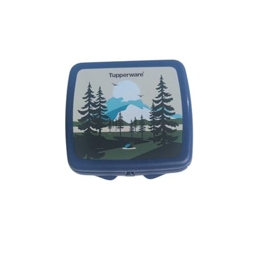 Tupperware Quadratische Sandwich-Box Aufbewahrungsbox Brotdose mit Scharnier und Verriegelung (türkis Koala Bär)
