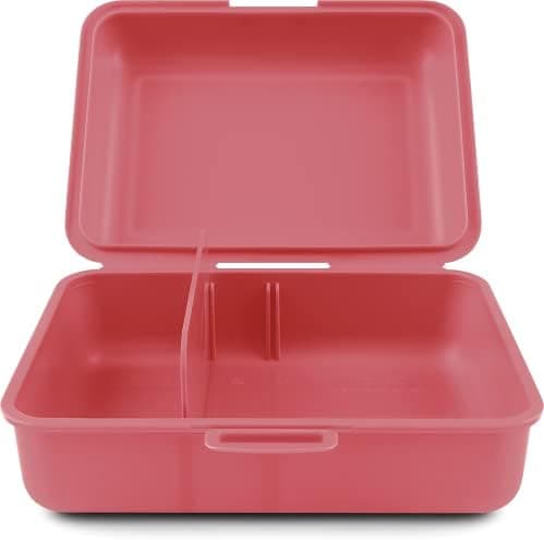 ### Baagl Brotdose Kinder für Schule – Lunchbox für Mädchen & Jungen – Jausenbox, Brotzeitbox, Brotbox, Snackbox (Delphi