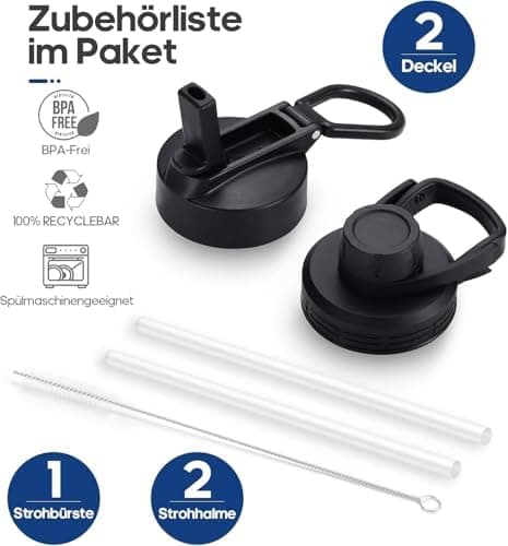 HydroPal Edelstahl Trinkflasche - Isolierte Flasche mit Strohhalm & 2 Deckeln, Auslaufsichere Isolierung für Sport, 500m
