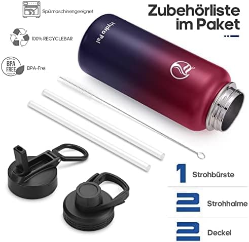 HydroPal Edelstahl Trinkflasche - Isolierte Flasche mit Strohhalm & 2 Deckeln, Auslaufsichere Isolierung für Sport, 500m