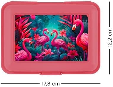 ### Baagl Brotdose Kinder für Schule – Lunchbox für Mädchen & Jungen – Jausenbox, Brotzeitbox, Brotbox, Snackbox (Delphi