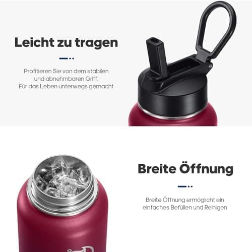 HydroPal Edelstahl Trinkflasche - Isolierte Flasche mit Strohhalm & 2 Deckeln, Auslaufsichere Isolierung für Sport, 500m