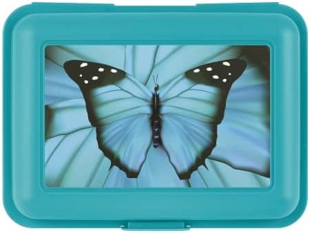 ### Baagl Brotdose Kinder für Schule – Lunchbox für Mädchen & Jungen – Jausenbox, Brotzeitbox, Brotbox, Snackbox (Delphi