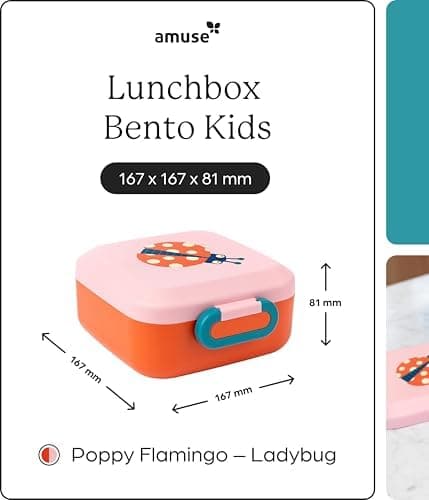 Amuse Rikko Kinder Lunchbox Animal Parade | Bento Box mit 2 Snackboxen & Trennwand | Brotdose für Kindergarten & Schule