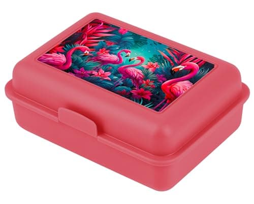 ### Baagl Brotdose Kinder für Schule – Lunchbox für Mädchen & Jungen – Jausenbox, Brotzeitbox, Brotbox, Snackbox (Delphi