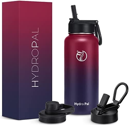 HydroPal Edelstahl Trinkflasche - Isolierte Flasche mit Strohhalm & 2 Deckeln, Auslaufsichere Isolierung für Sport, 500m