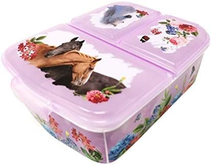 Kinder Brotdose Lunchbox Minecraft - mit Fächern - BPA frei - Perfect für Schultage und Picknicks