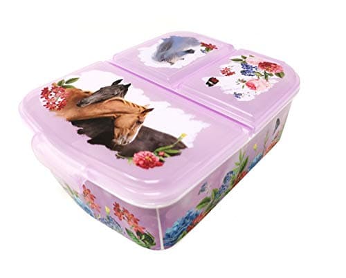 Kinder Brotdose Lunchbox Minecraft - mit Fächern - BPA frei - Perfect für Schultage und Picknicks