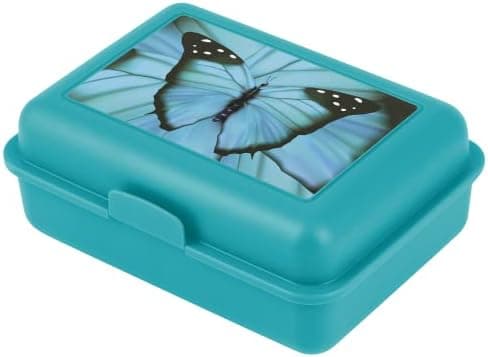### Baagl Brotdose Kinder für Schule – Lunchbox für Mädchen & Jungen – Jausenbox, Brotzeitbox, Brotbox, Snackbox (Delphi