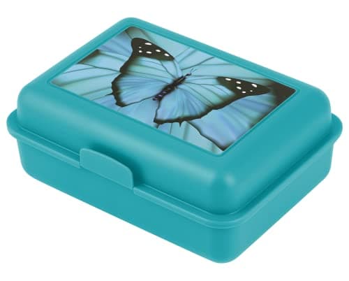 ### Baagl Brotdose Kinder für Schule – Lunchbox für Mädchen & Jungen – Jausenbox, Brotzeitbox, Brotbox, Snackbox (Delphi