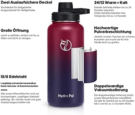 HydroPal Edelstahl Trinkflasche - Isolierte Flasche mit Strohhalm & 2 Deckeln, Auslaufsichere Isolierung für Sport, 500m