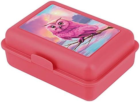 ### Baagl Brotdose Kinder für Schule – Lunchbox für Mädchen & Jungen – Jausenbox, Brotzeitbox, Brotbox, Snackbox (Delphi