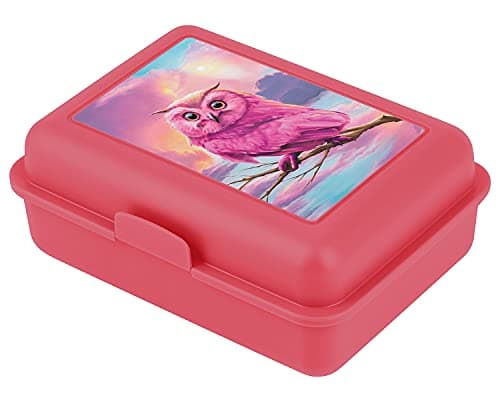 ### Baagl Brotdose Kinder für Schule – Lunchbox für Mädchen & Jungen – Jausenbox, Brotzeitbox, Brotbox, Snackbox (Delphi