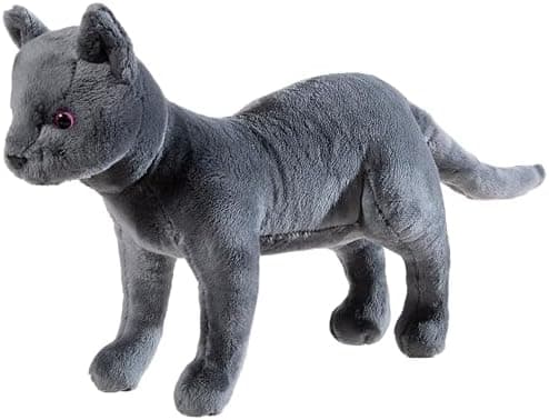 Katze GRS/PET Karajan - Schule der Magischen Tiere - Grau für Jungen und Mädchen
| Schule der Magischen Tiere Katze GRS
