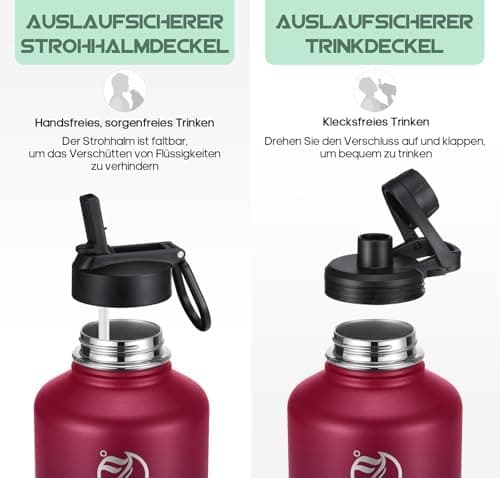 HydroPal Edelstahl Trinkflasche - Isolierte Flasche mit Strohhalm & 2 Deckeln, Auslaufsichere Isolierung für Sport, 500m