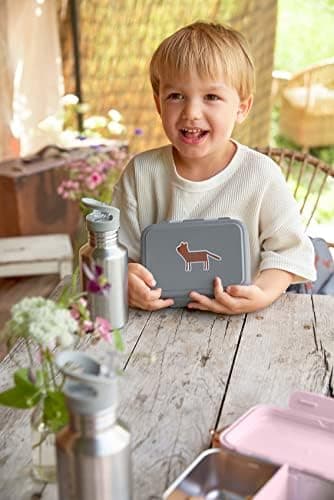 LÄSSIG Edelstahl Kinder Brotdose Frühstücksbox Nachhaltig für Schule und Adventure (1er Pack)  
LÄSSIG Kinder Brotdose E