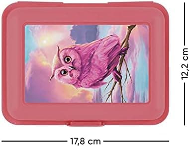### Baagl Brotdose Kinder für Schule – Lunchbox für Mädchen & Jungen – Jausenbox, Brotzeitbox, Brotbox, Snackbox (Delphi