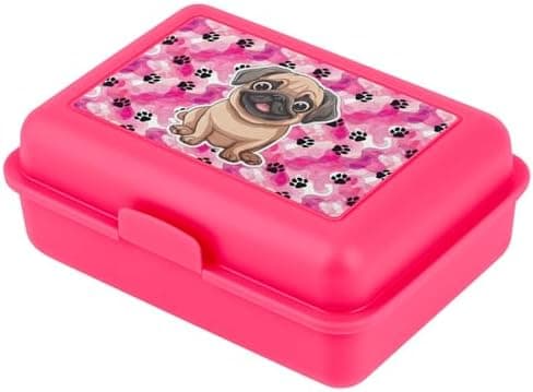 ### Baagl Brotdose Kinder für Schule – Lunchbox für Mädchen & Jungen – Jausenbox, Brotzeitbox, Brotbox, Snackbox (Delphi