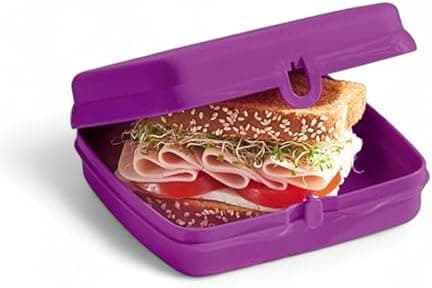Tupperware Quadratische Sandwich-Box Aufbewahrungsbox Brotdose mit Scharnier und Verriegelung (türkis Koala Bär)