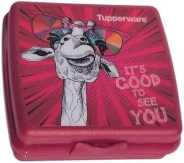 Tupperware Quadratische Sandwich-Box Aufbewahrungsbox Brotdose mit Scharnier und Verriegelung (türkis Koala Bär)