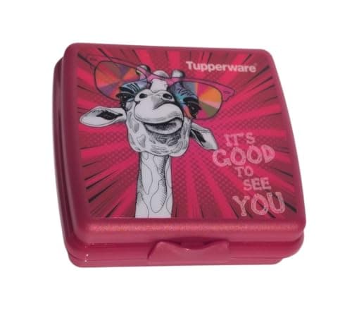 Tupperware Quadratische Sandwich-Box Aufbewahrungsbox Brotdose mit Scharnier und Verriegelung (türkis Koala Bär)