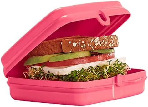 Tupperware Quadratische Sandwich-Box Aufbewahrungsbox Brotdose mit Scharnier und Verriegelung (türkis Koala Bär)