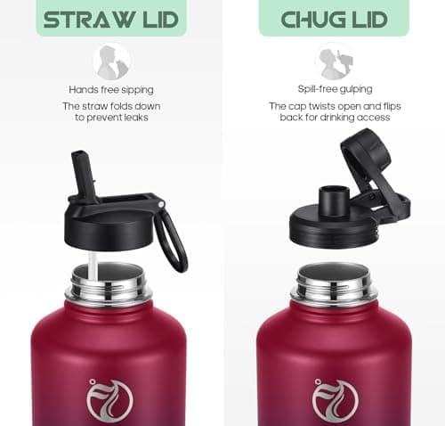 HydroPal Edelstahl Trinkflasche - Isolierte Flasche mit Strohhalm & 2 Deckeln, Auslaufsichere Isolierung für Sport, 500m