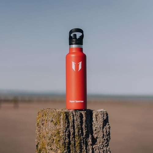 Super Sparrow Trinkflasche Edelstahl - Auslaufsicher Thermoskanne - Kinder für Sprudel, Sport, Schule, Fitness - 500ml -