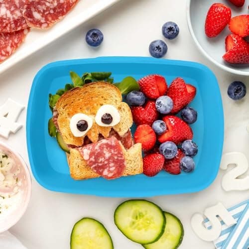 GRAVURZEILE Personalisiertes Magischer Wald Brotd Essbox für Kinder - Platzsparend stapelbar - Ideal für Schule & Kita -